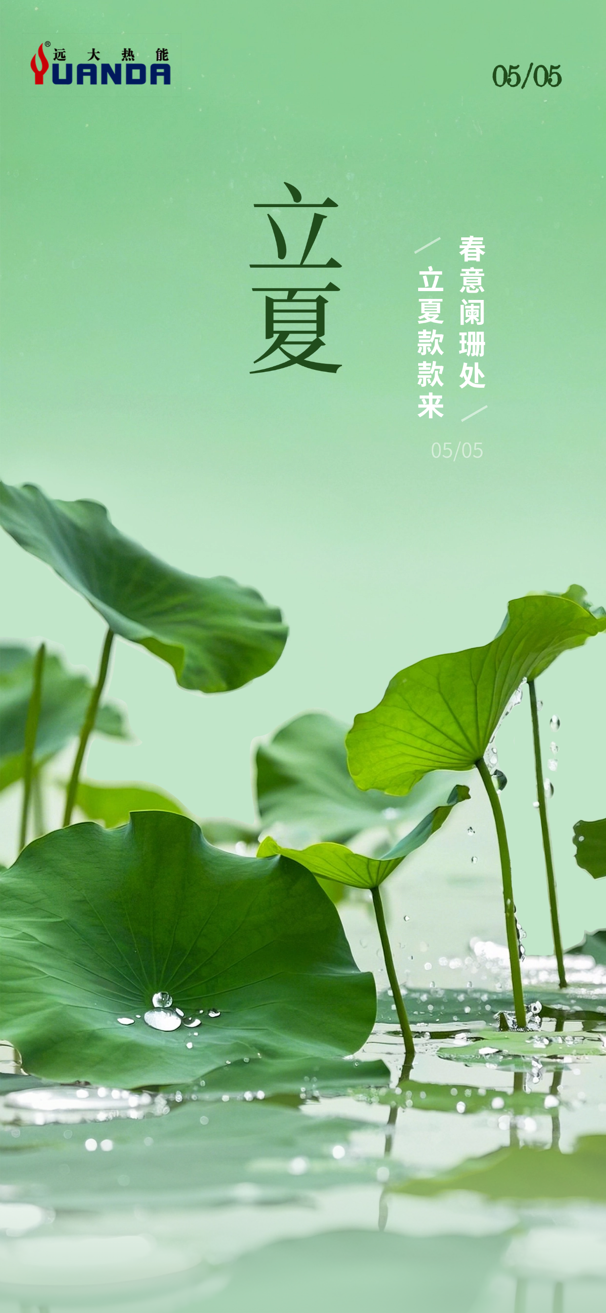 立夏实景感荷叶水珠池塘背景全屏手机海报.png